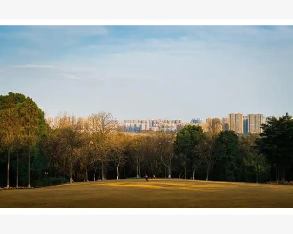 B2B出海跨境贸易的流量密码